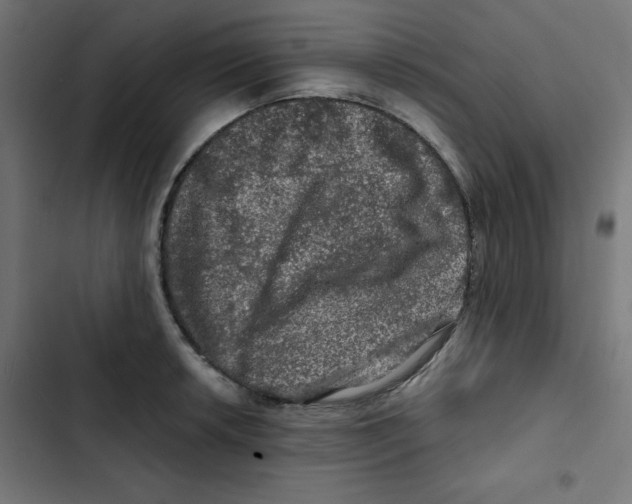 X0000102491042200809051317