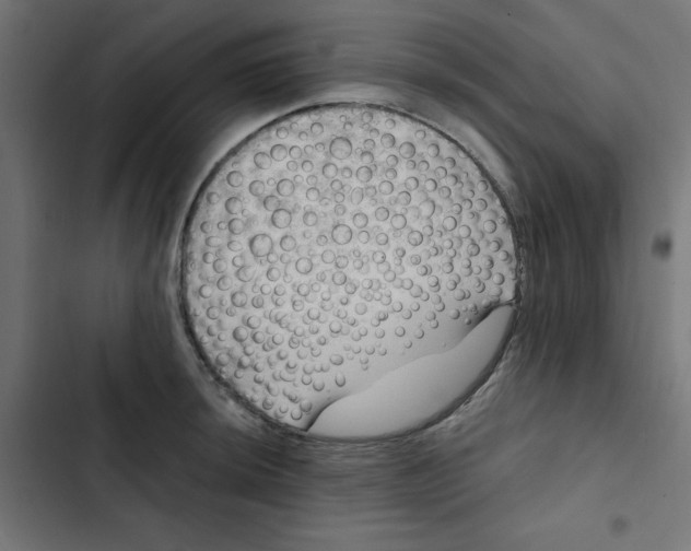 X0000102491044200809051317