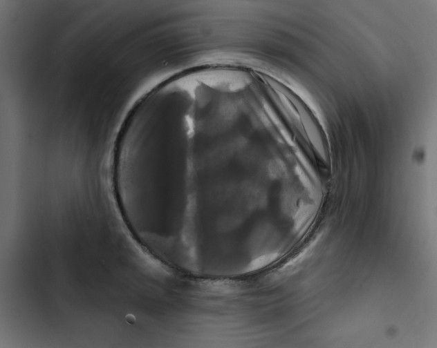 X0000102491045200809051317