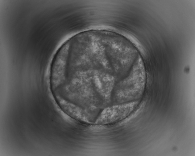 X0000102491046200809051317