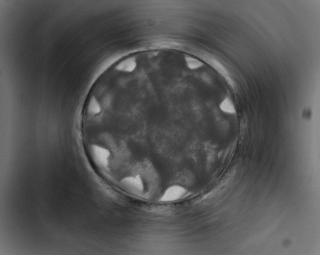 X0000102491047200809051317