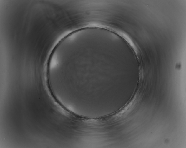 X0000102491048200809051317