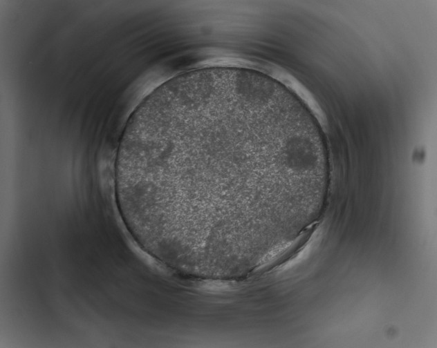 X0000102491049200809051317