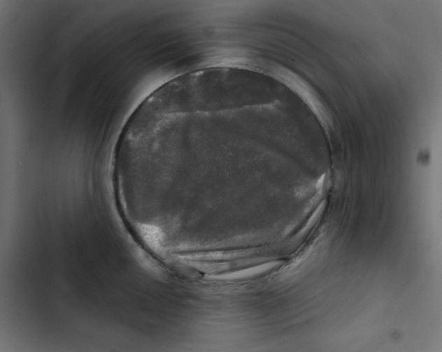 X0000102491050200809051317