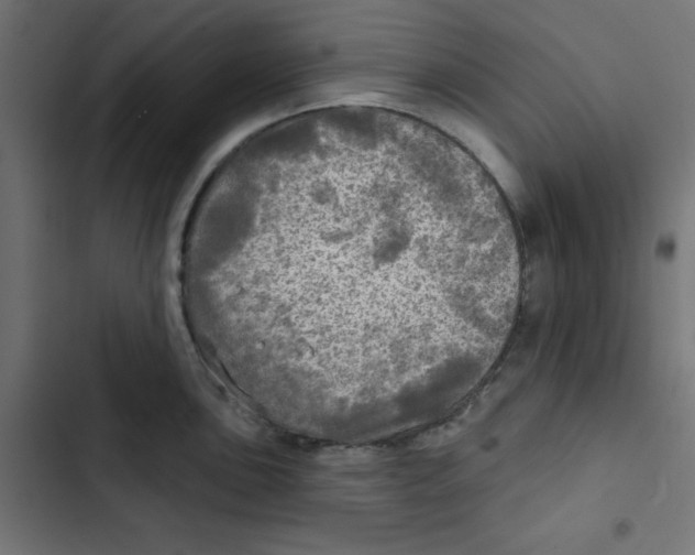 X0000102491051200809051317