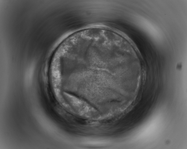 X0000102491054200809051317