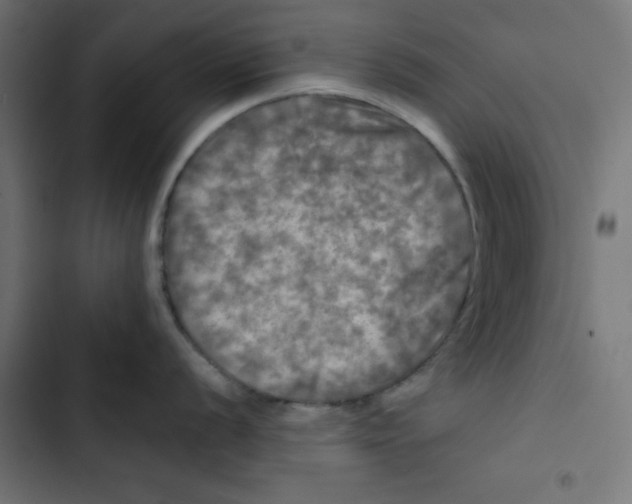 X0000102491056200809051317