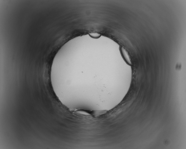 X0000102491058200809051317