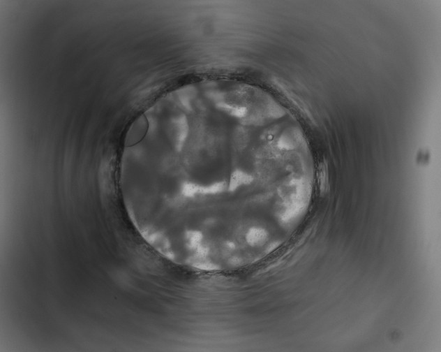 X0000102491059200809051317