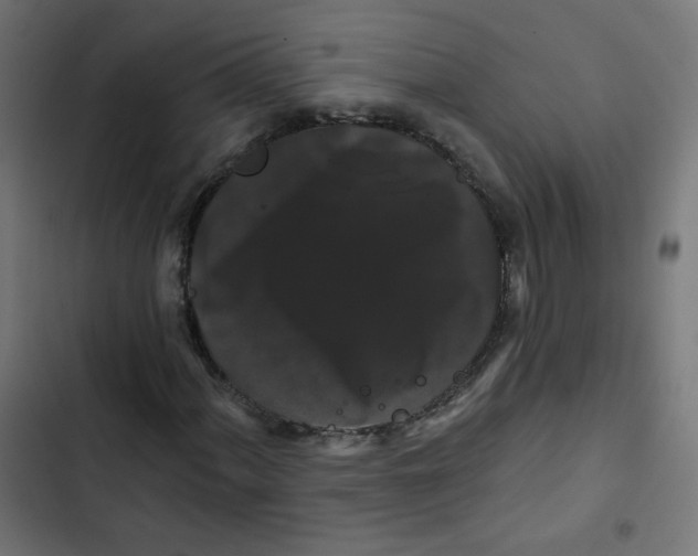 X0000102491060200809051317