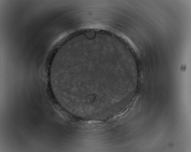 X0000102491064200809051317