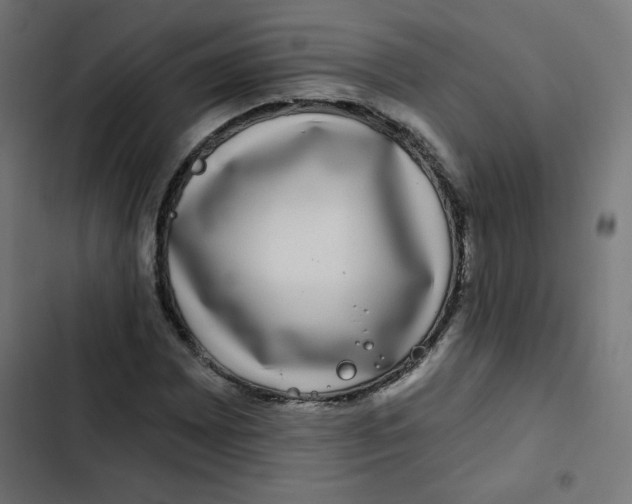 X0000102491065200809051317