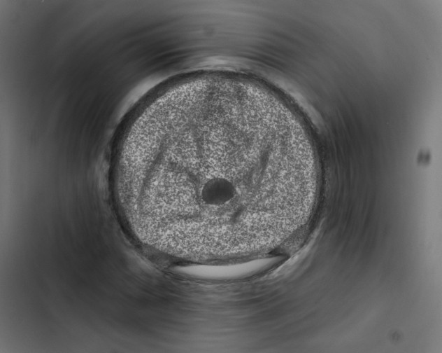 X0000102491066200809051317