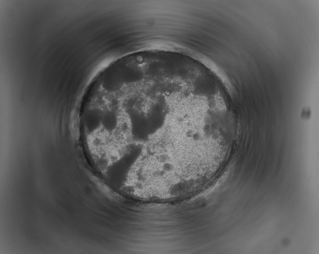 X0000102491067200809051317