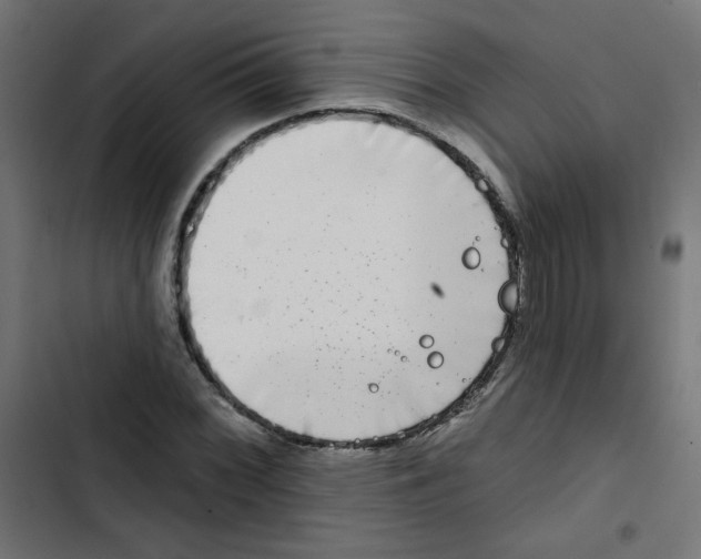 X0000102491068200809051317