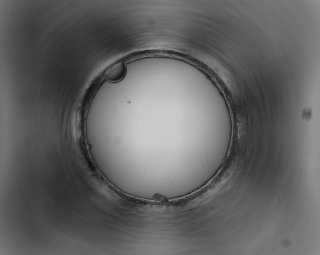 X0000102491069200809051317