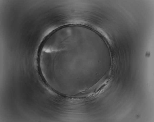 X0000102491071200809051316