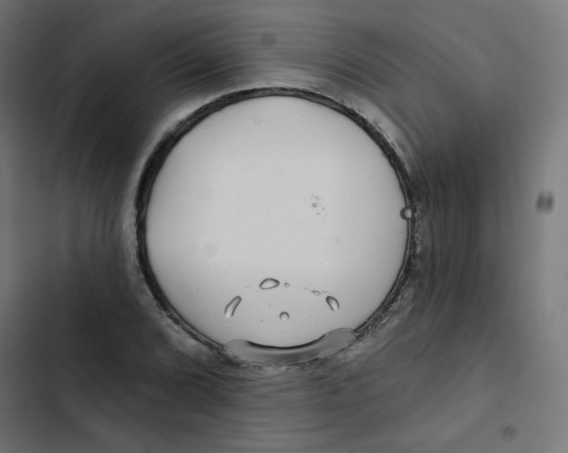 X0000102491072200809051316