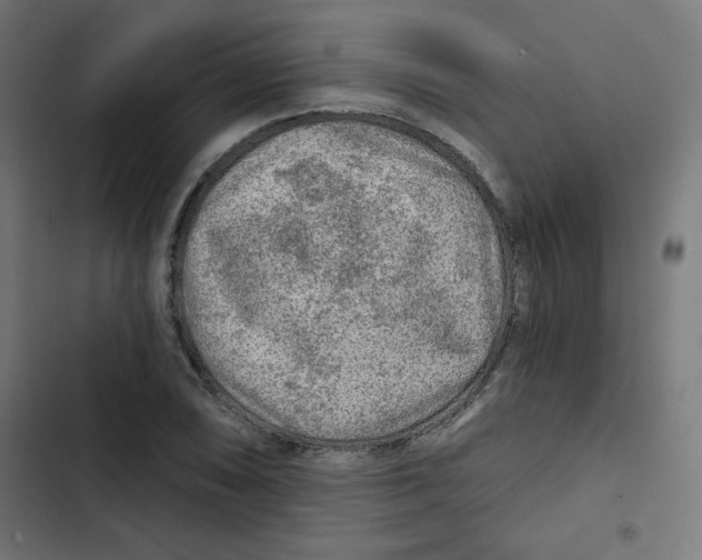 X0000102491074200809051316