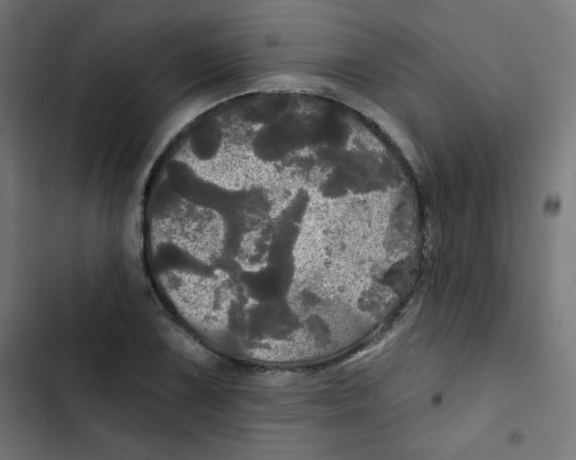 X0000102491075200809051316