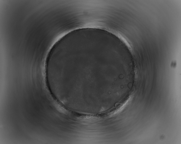 X0000102491077200809051316