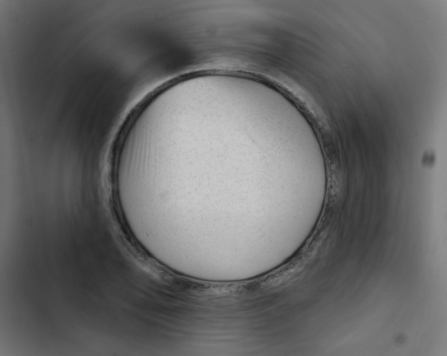 X0000102491078200809051316