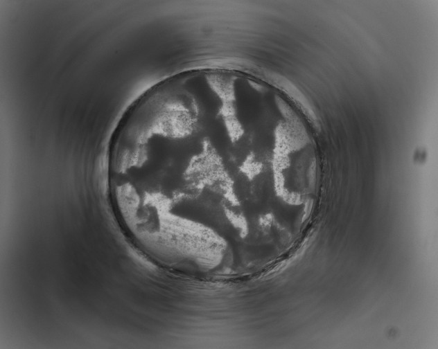 X0000102491079200809051316