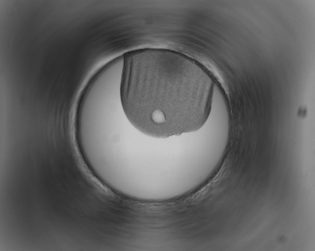 X0000102491080200809051316