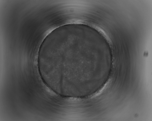 X0000102491081200809051316