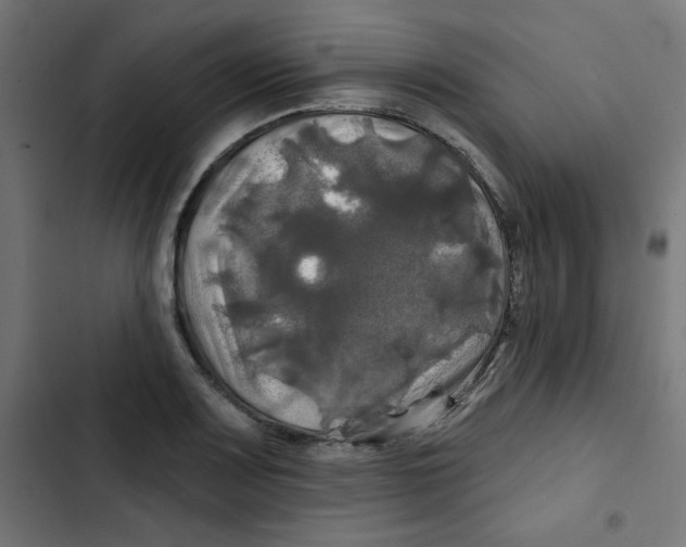 X0000102491083200809051316