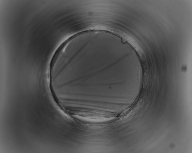 X0000102491084200809051316