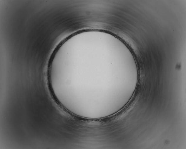 X0000102491085200809051316