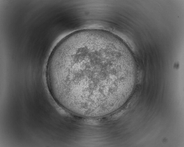 X0000102491086200809051316