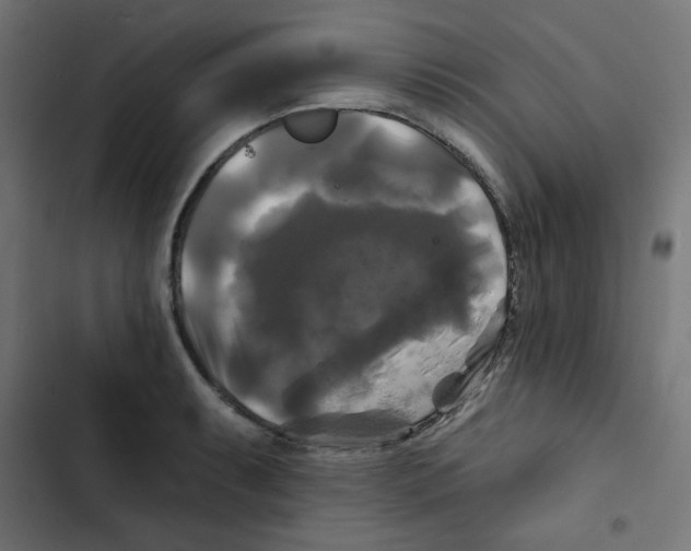 X0000102491087200809051316