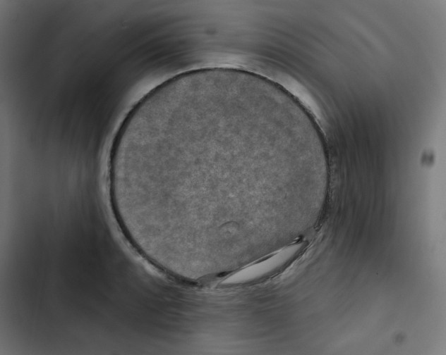 X0000102491088200809051316