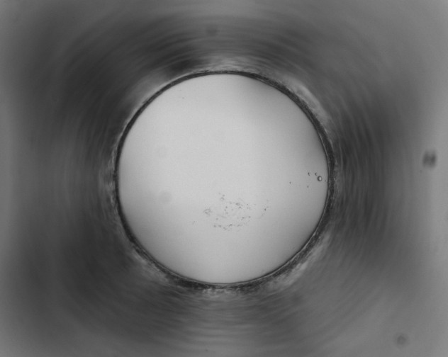 X0000102491089200809051316