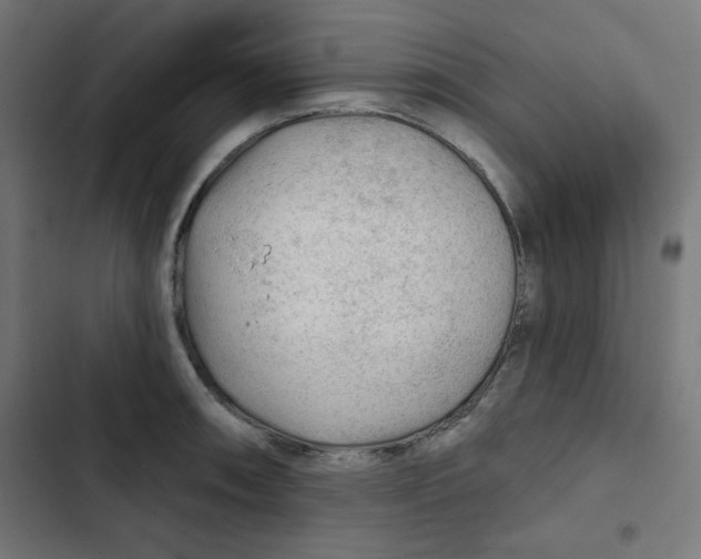 X0000102491090200809051316