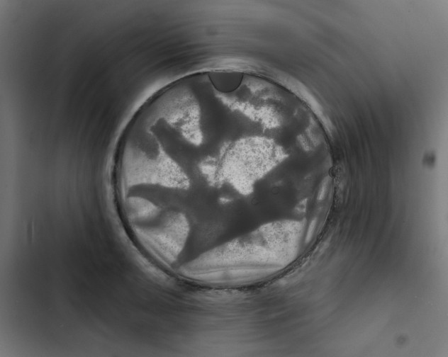 X0000102491091200809051316