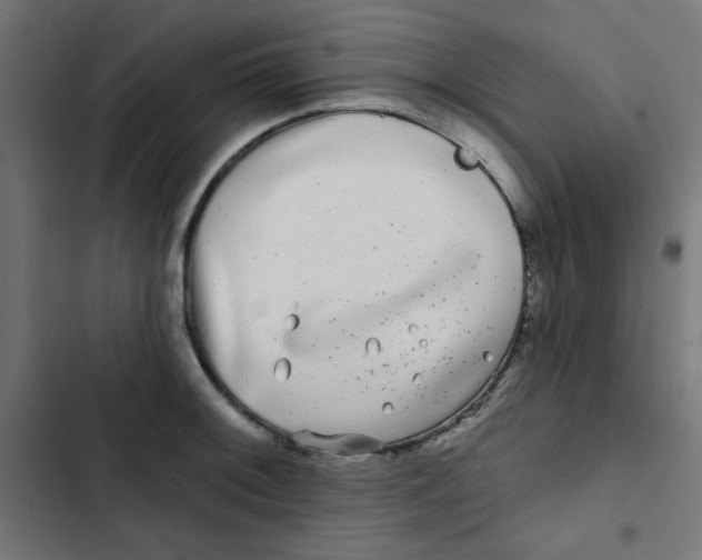 X0000102491092200809051316