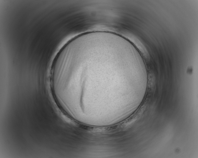 X0000102491094200809051316