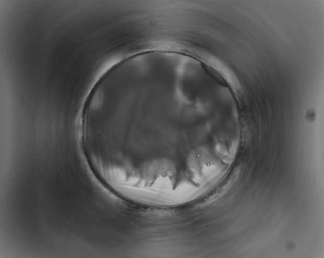 X0000102491095200809051316