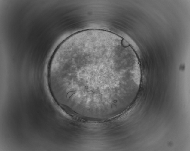 X0000102491096200809051316