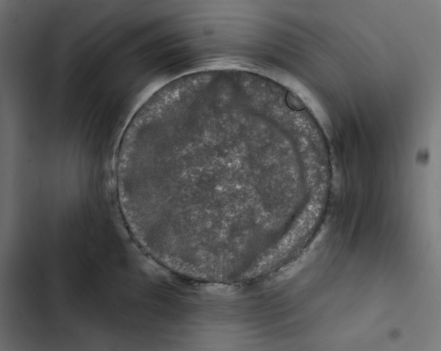 X0000102491097200809051316