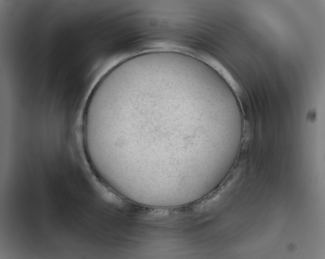 X0000102491098200809051316