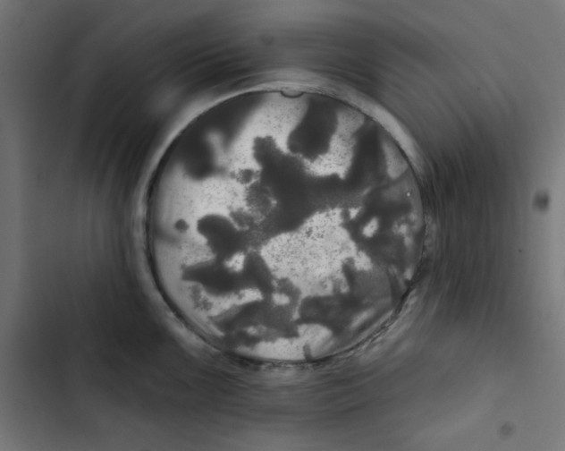 X0000102491099200809051316