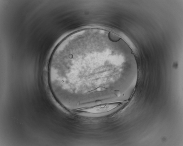 X0000102491100200809051316