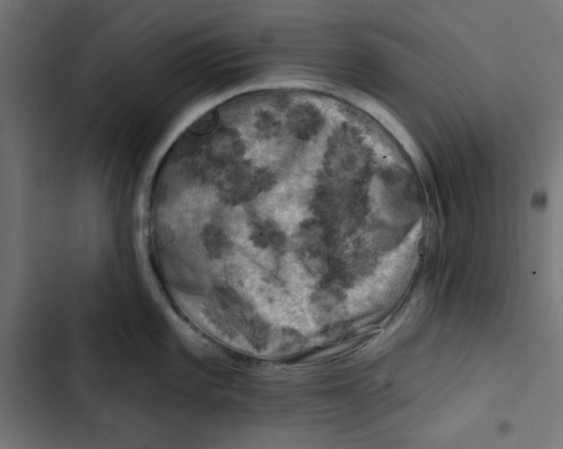 X0000102491101200809051316