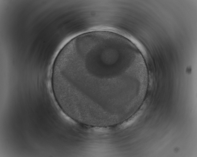 X0000102491102200809051316