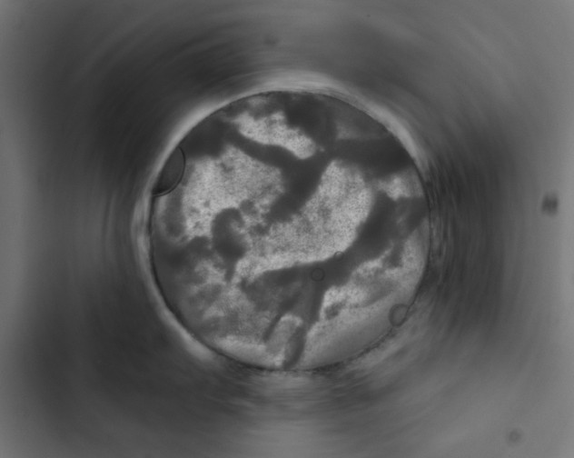 X0000102491103200809051316