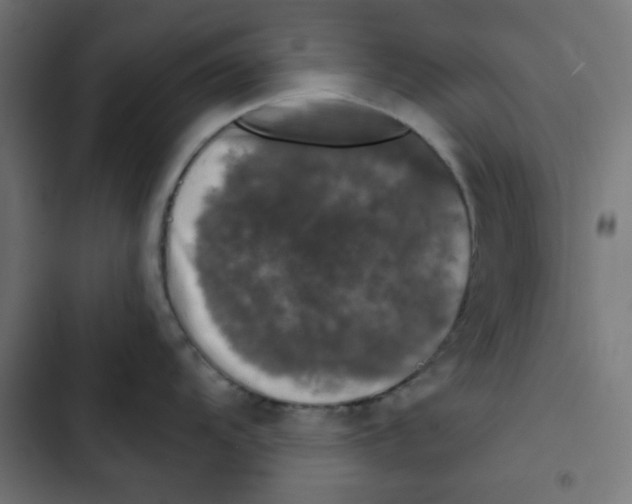 X0000102491104200809051316